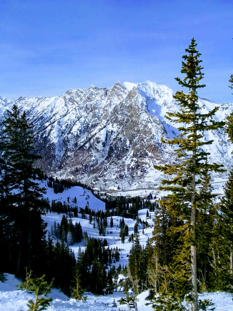 Illustration for article titled Alta is a powder skiing paradise